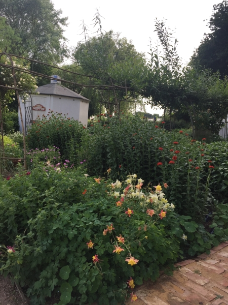 Wicor Primary School Community Garden